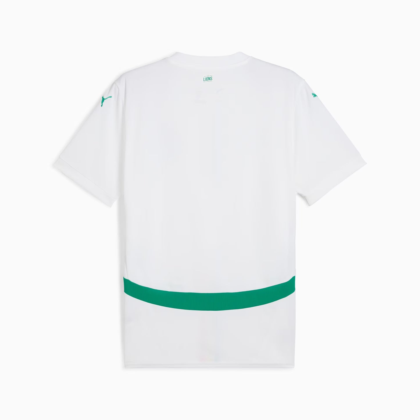 Maillot Sénégal 2024 2025 Domicile